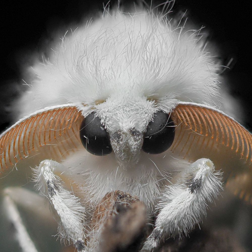 Photograph by Efraïm Baaijens