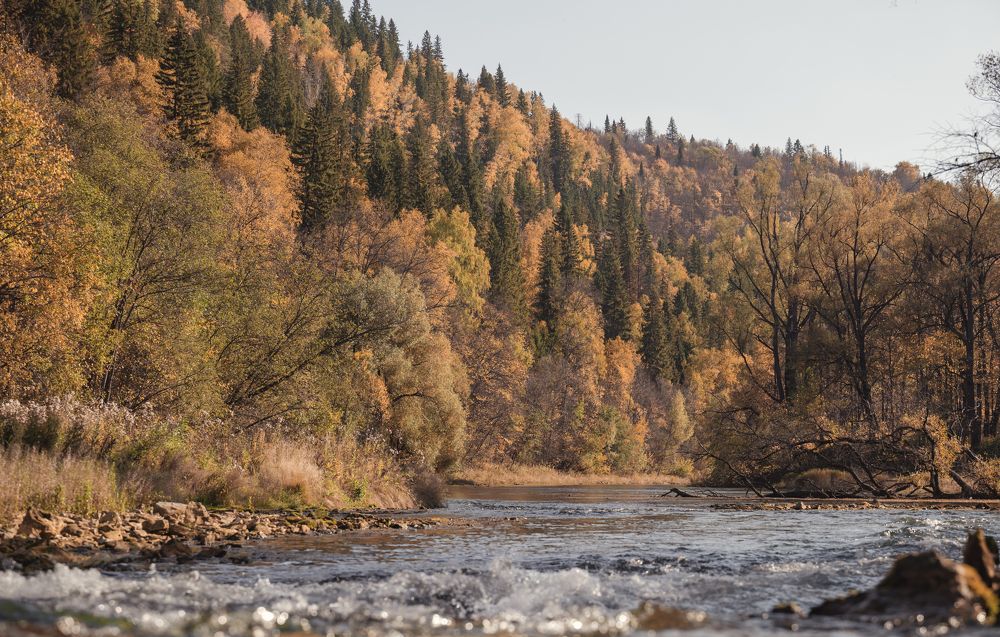 Photograph by Марьям Цимбельман