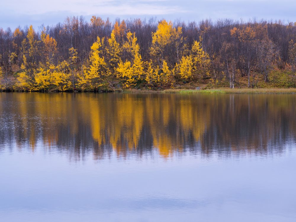 Photograph by Шейко Анна