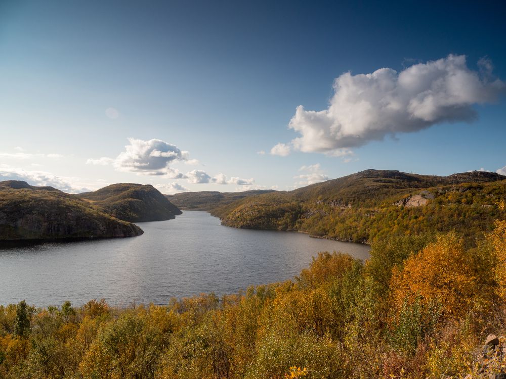 Photograph by Шейко Анна