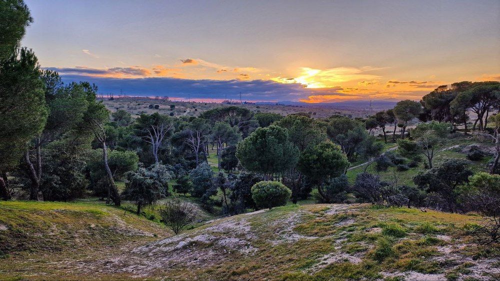 Photograph by Noemí Hornero