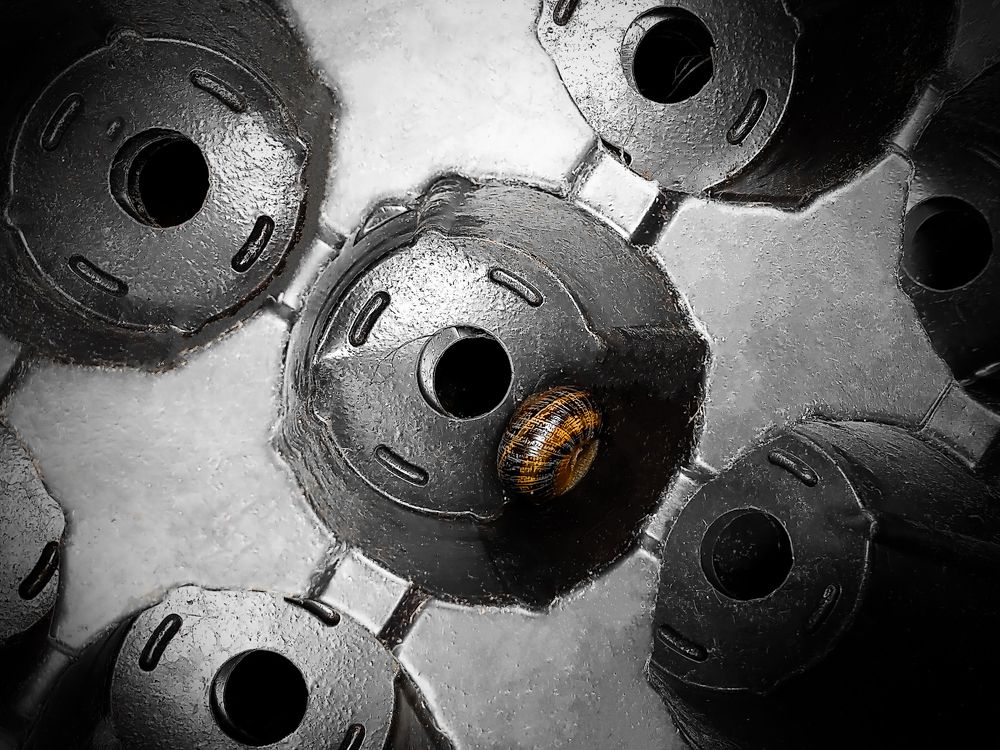 Улитка на космическом корабле / A Snail on a Spaceship