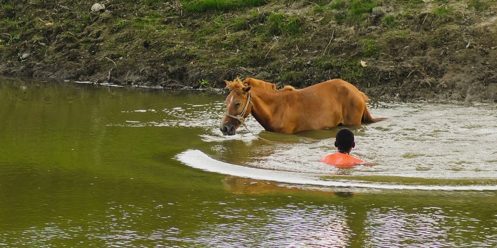 Photograph by Sadman Sakib