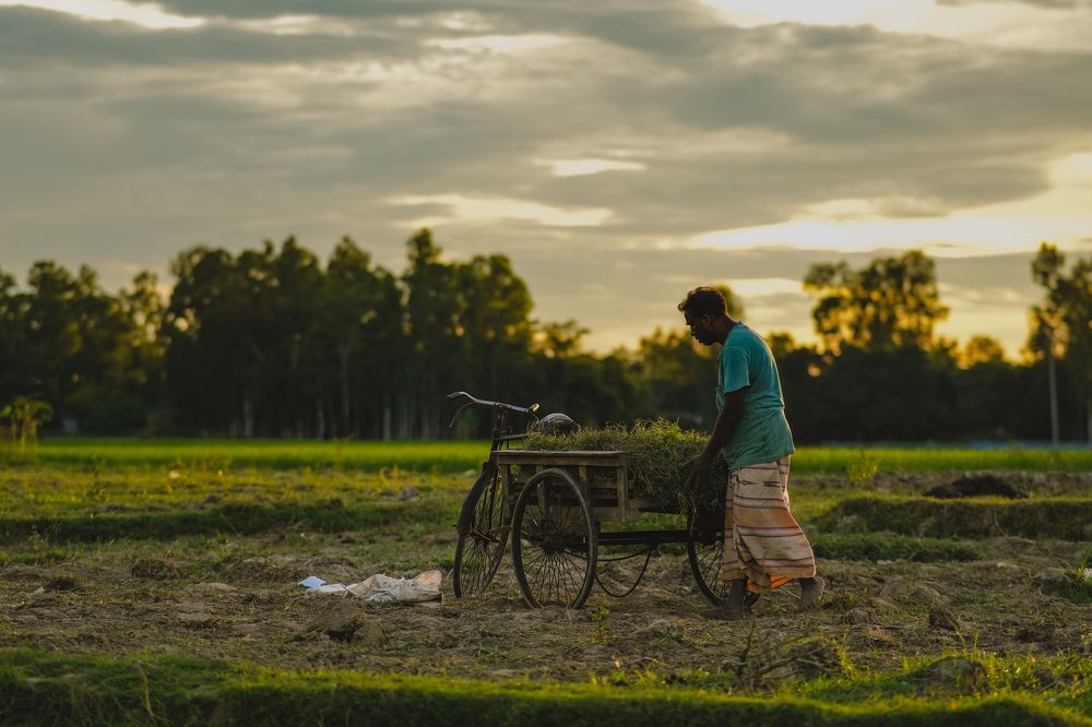 Photograph by Sadman Sakib