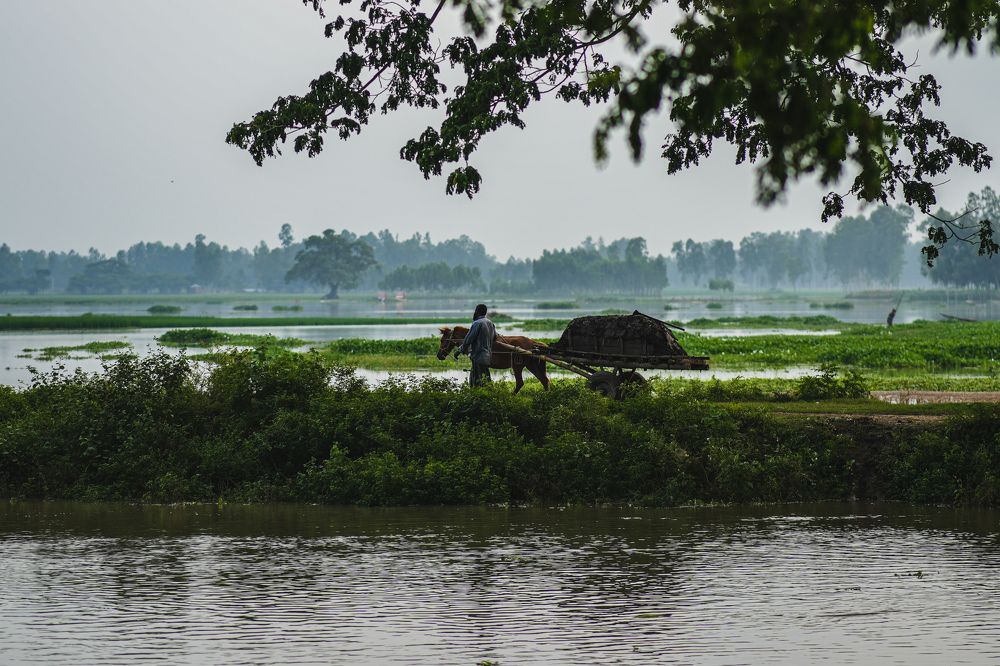 Photograph by Sadman Sakib