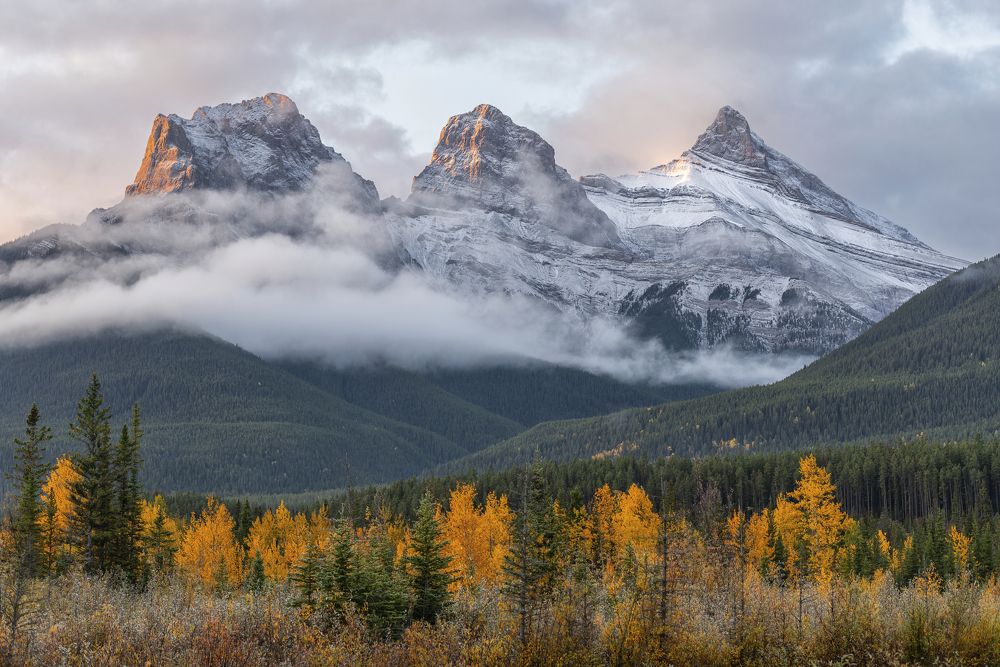 Photograph by Razvan Iliescu