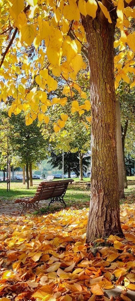 Photograph by Noemí Hornero