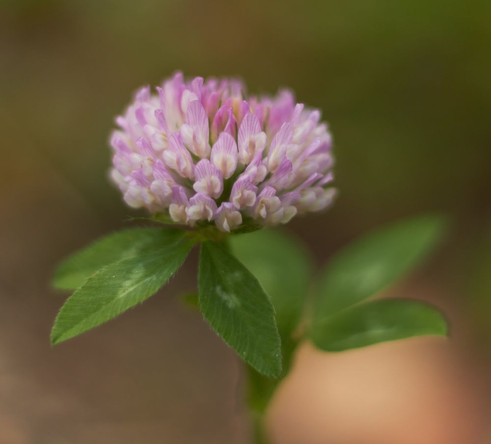 Photograph by Inna Tatarchenko