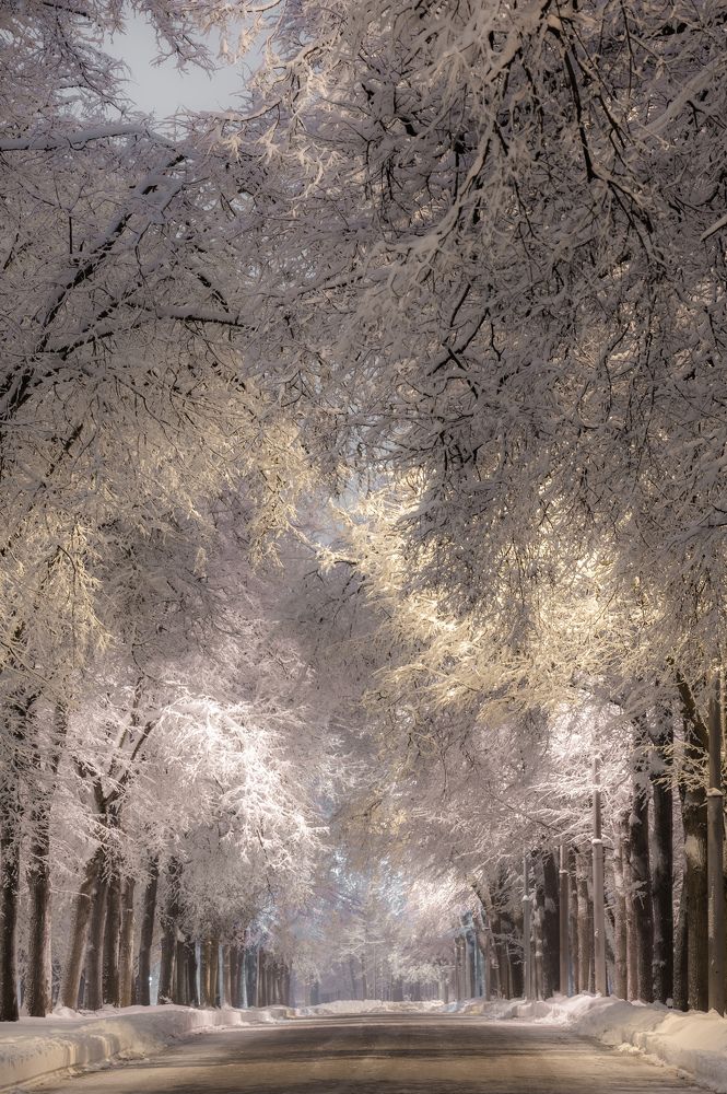 Photograph by Иван Грачев