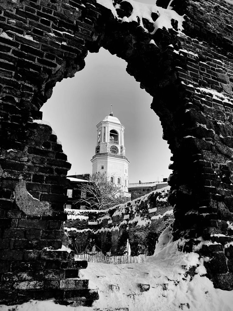 Фотография автора Анна Могилева