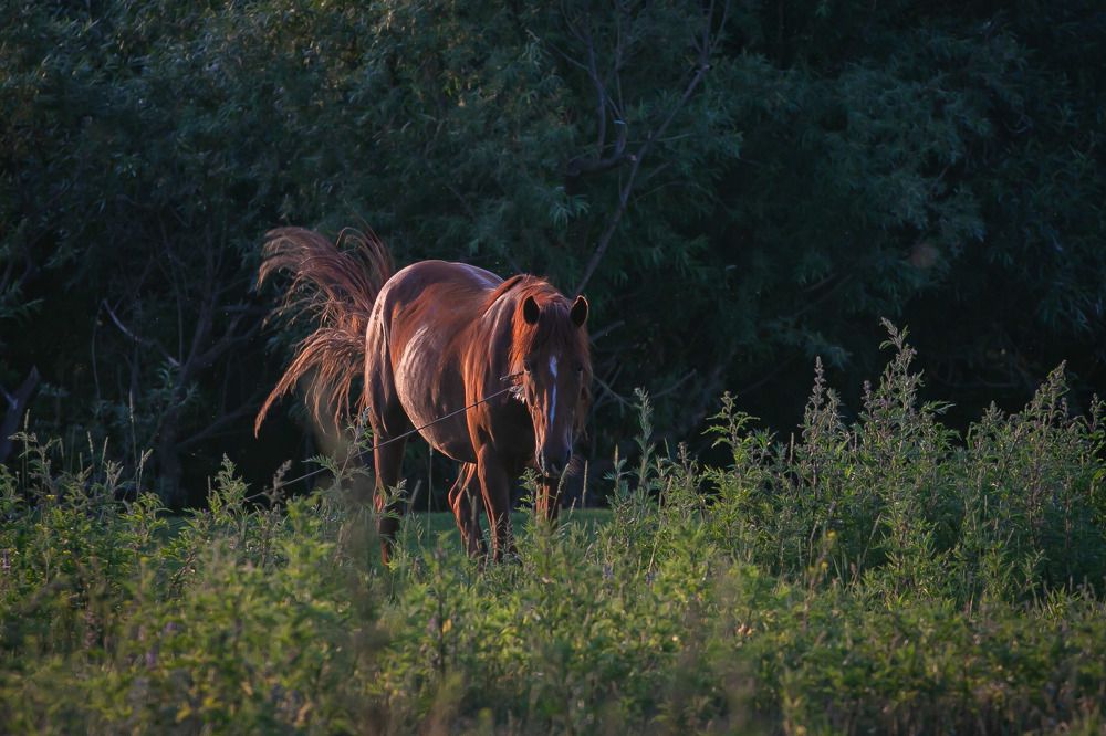 Photograph by Очева Наталья Александровна
