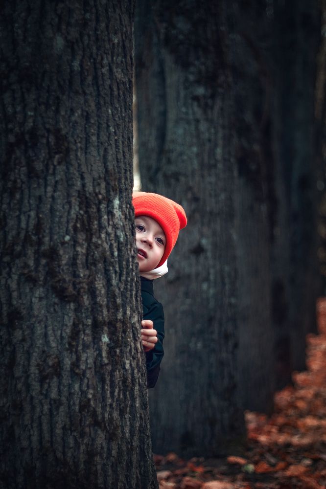 Photograph by Ольга Степанова