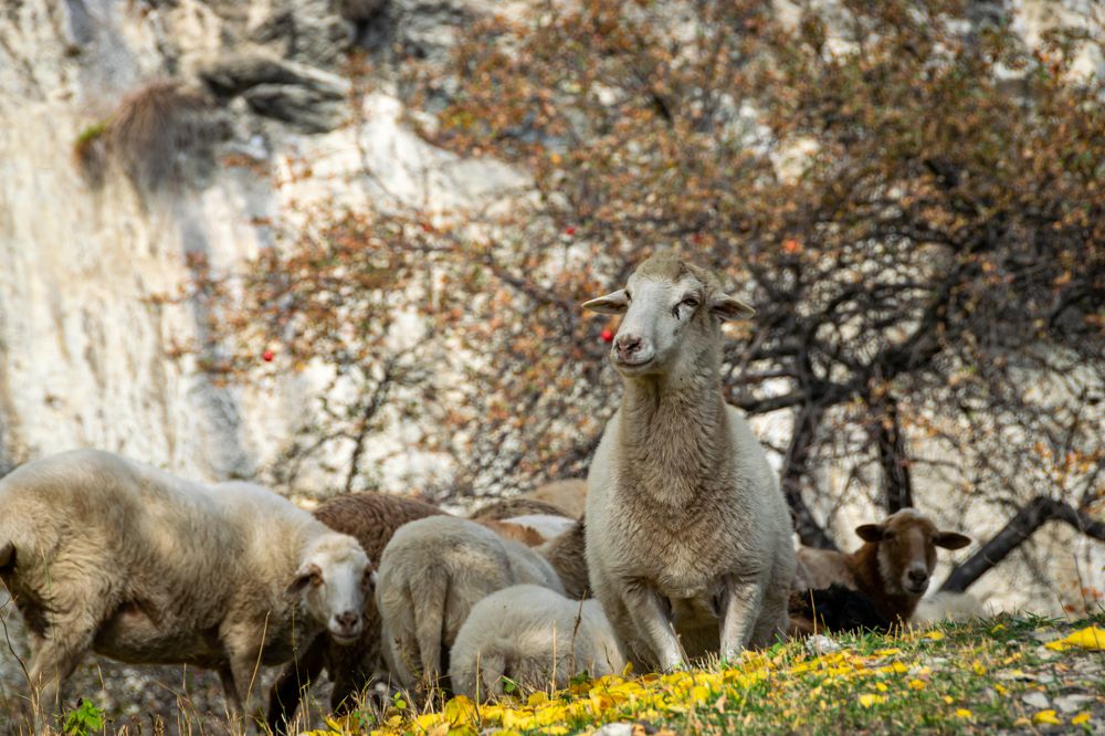 Фотография автора Оксана Белозерская