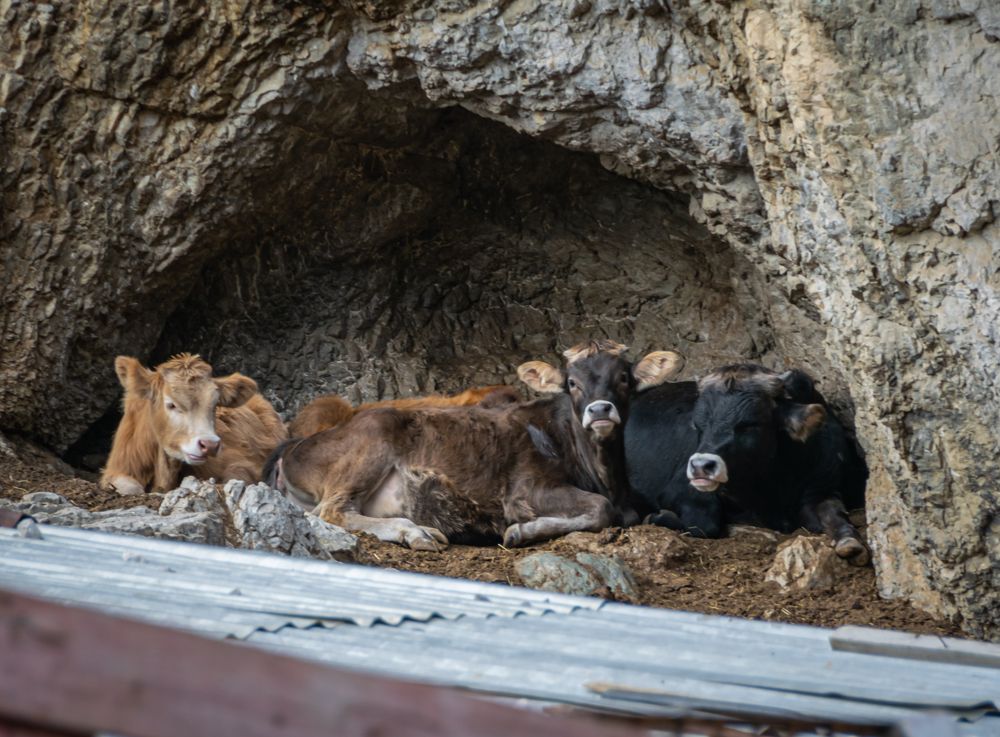 Фотография автора Оксана Белозерская