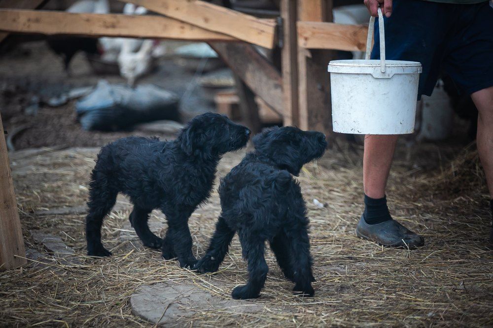 Photograph by Очева Наталья Александровна