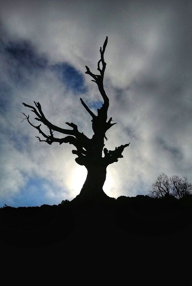 Photograph by Sina Saadati