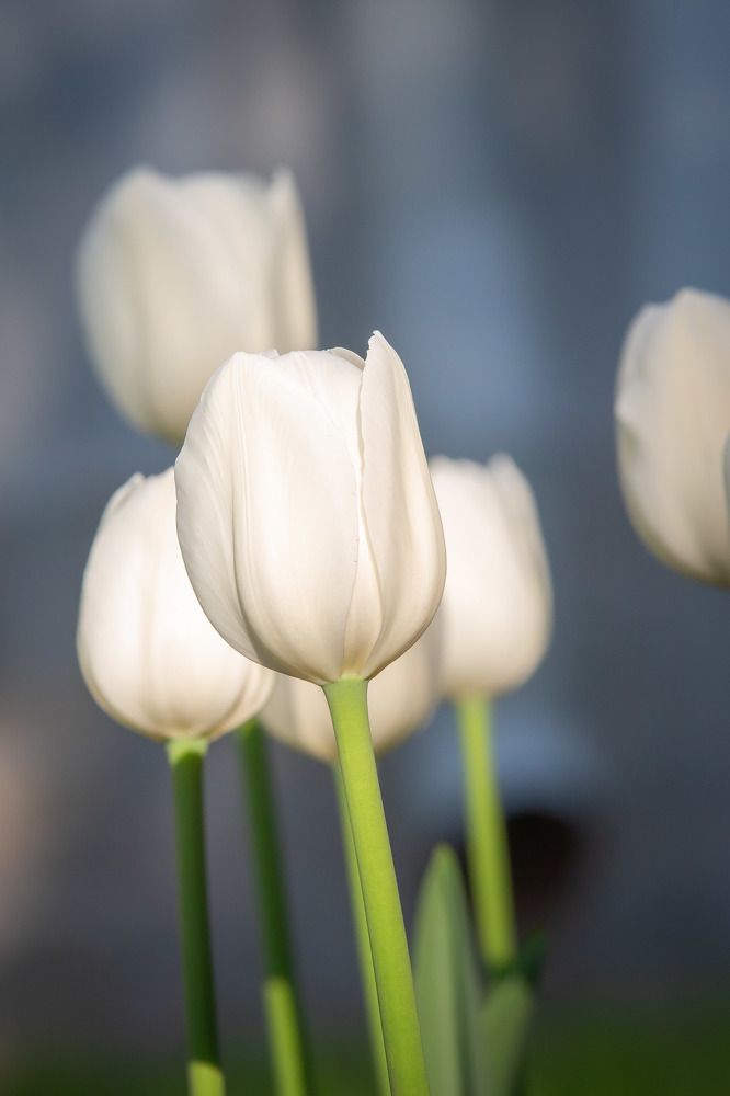 Photograph by Очева Наталья Александровна