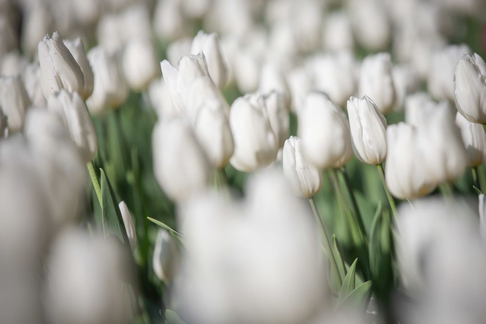 Photograph by Очева Наталья Александровна