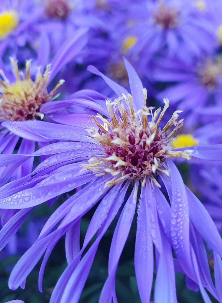 Photograph by Жанна Регор