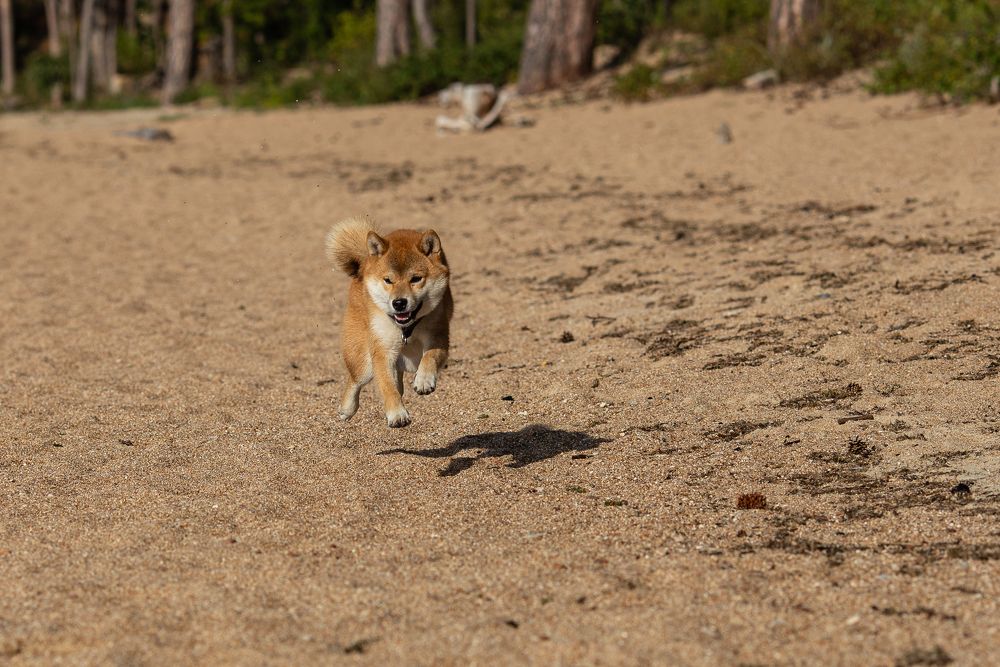 Photograph by Михаил Панфилов