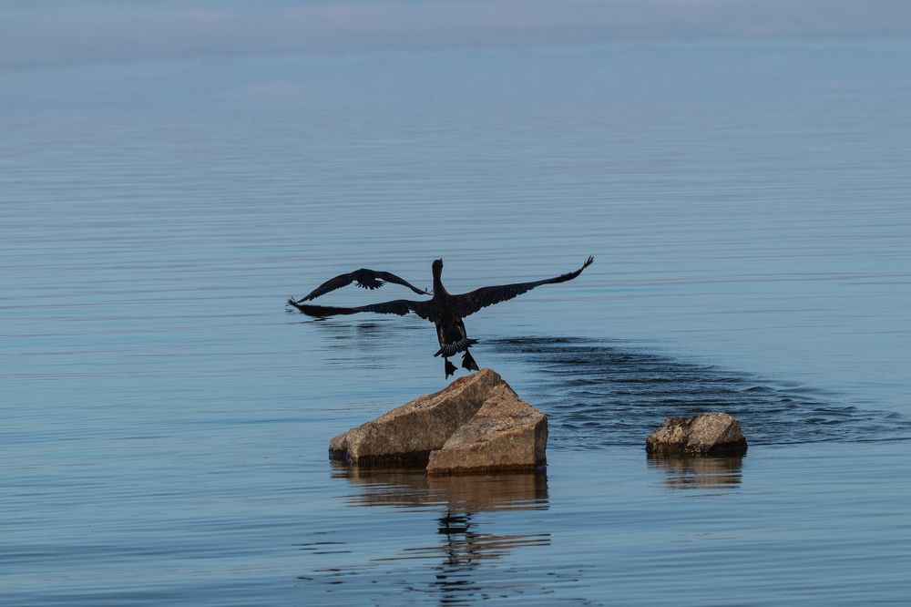 Photograph by Михаил Панфилов