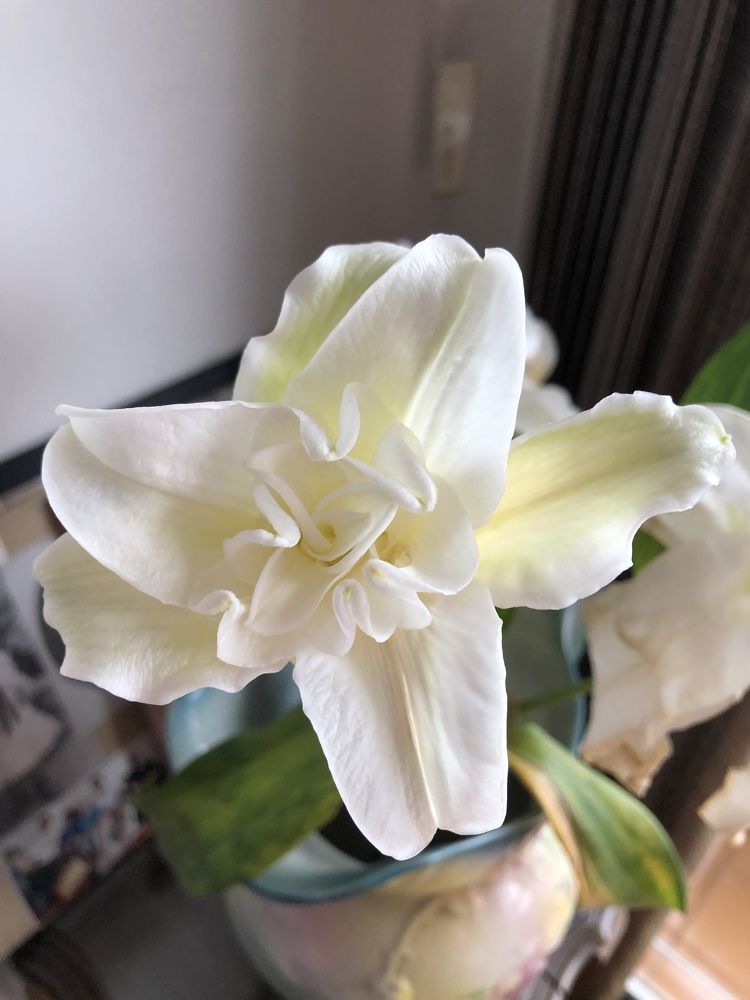 Photograph by Tina Domingos