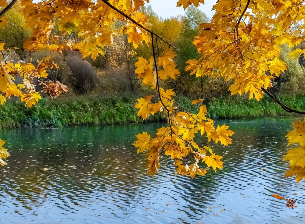 Photograph by Андрей Калинин