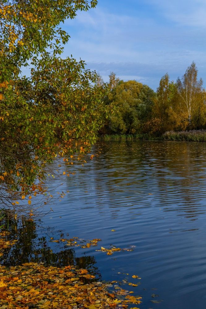 Photograph by Андрей Калинин