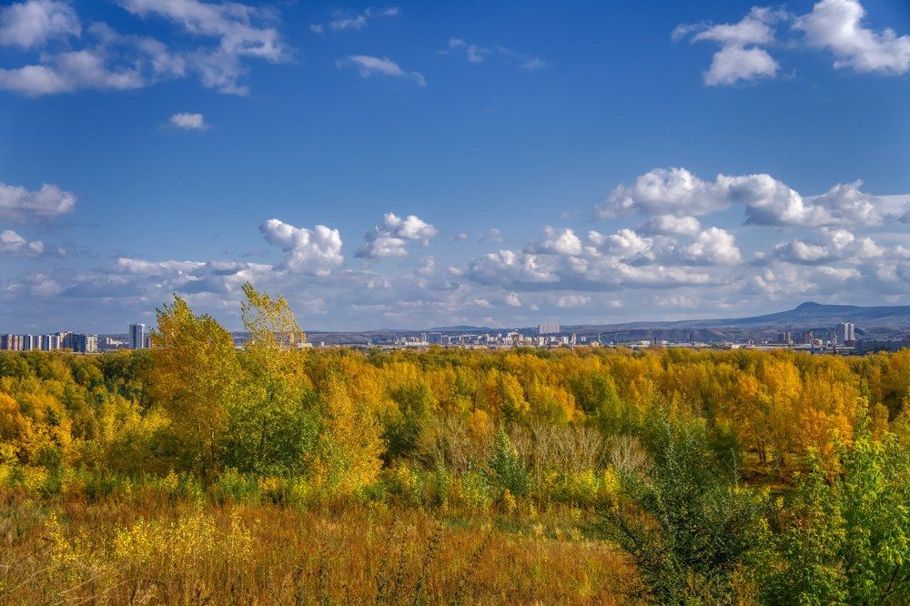 Photograph by Александр Пургин