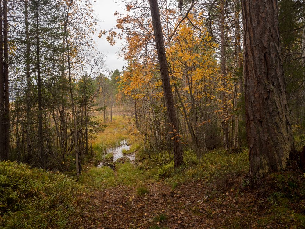 Photograph by Шейко Анна
