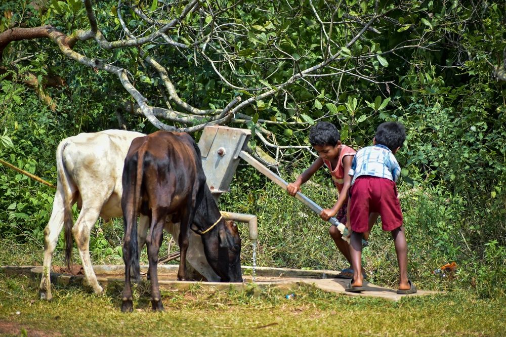 Photograph by Souradip Dey