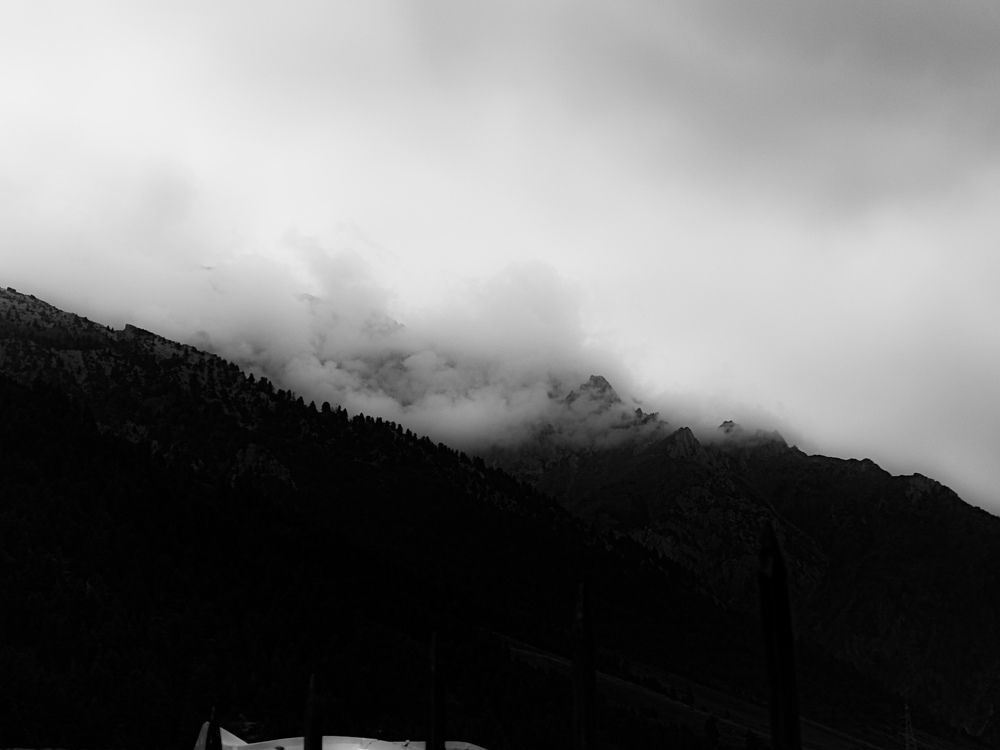 Photo #9612858