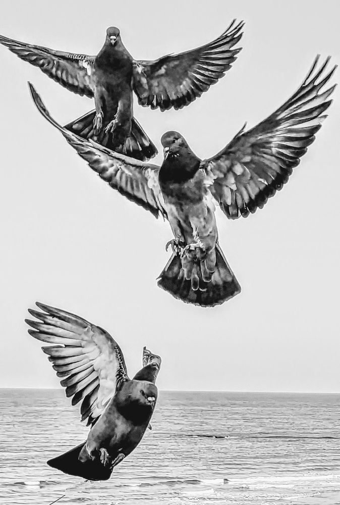 Photograph by Александр Айзенштадт