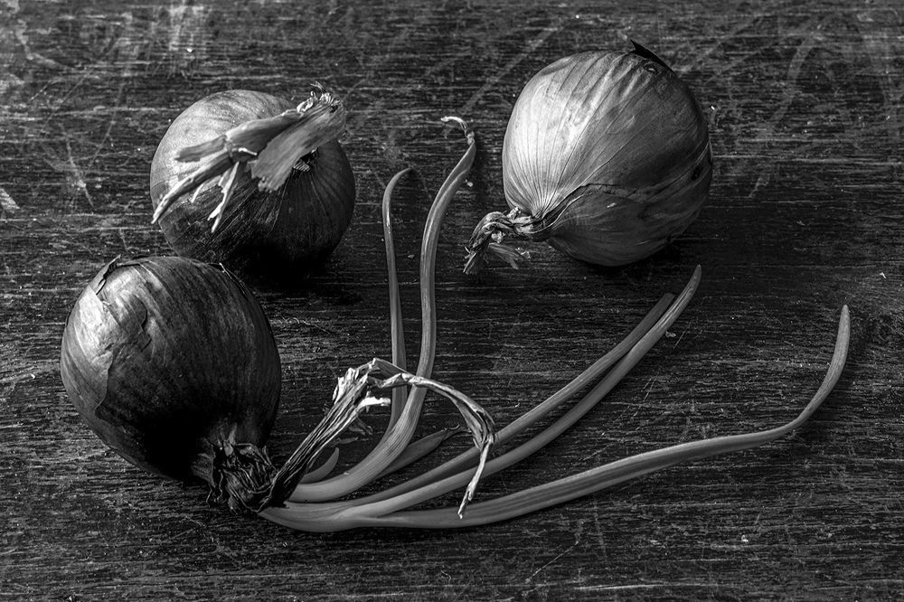 Приметы весны