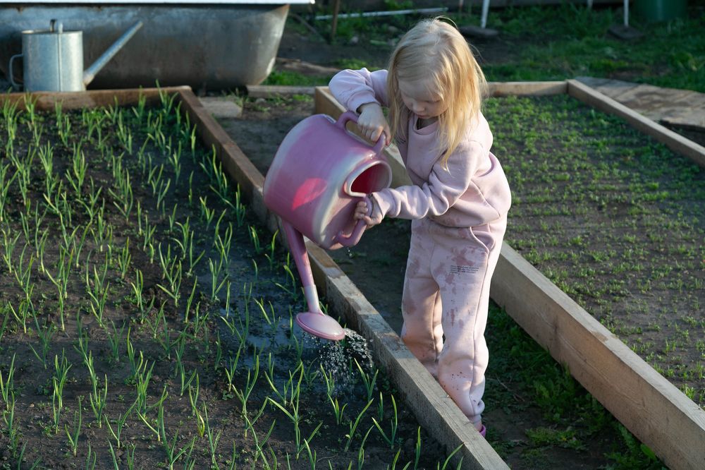 Photograph by Андрей Ходыкин