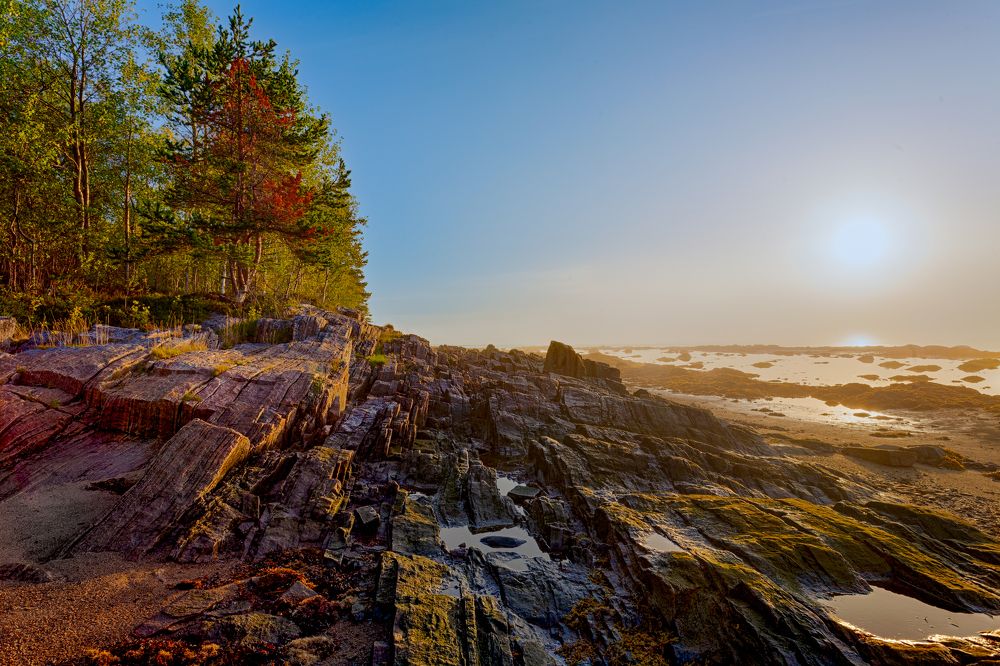 Photograph by Сергей Савельев