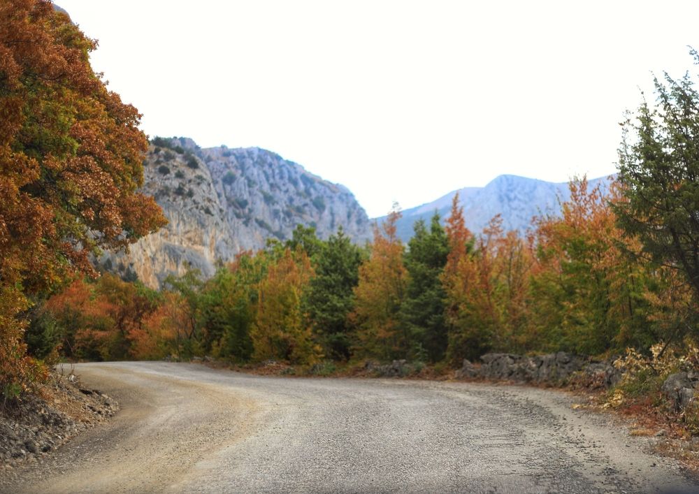 Photograph by Любовь