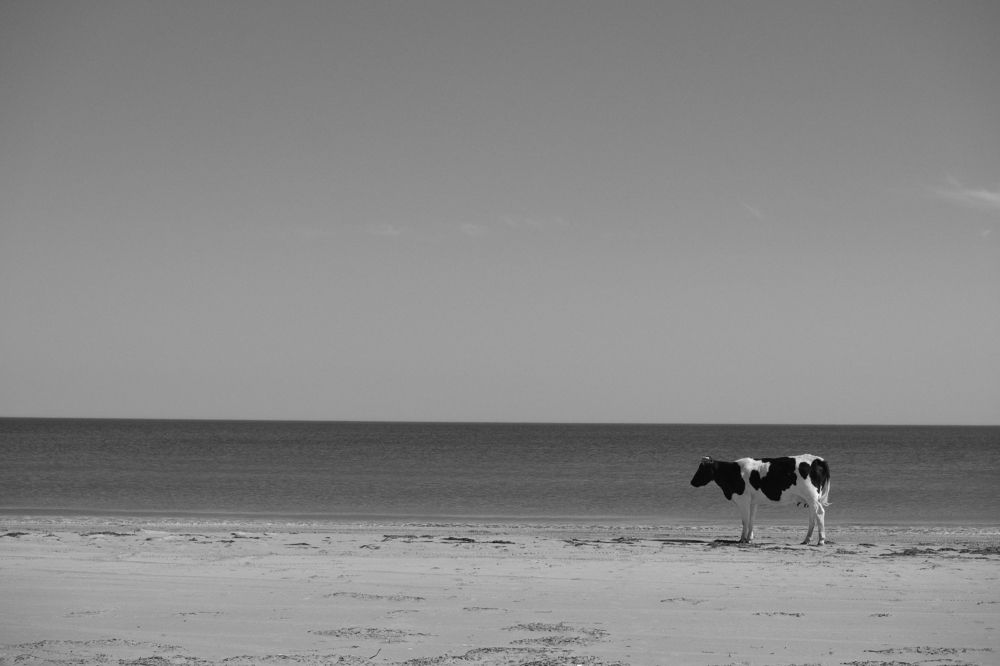 Photograph by Ирина Тен