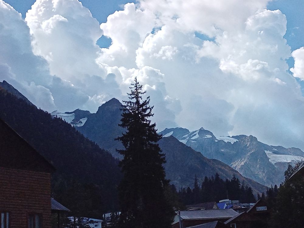 Photo #9613025