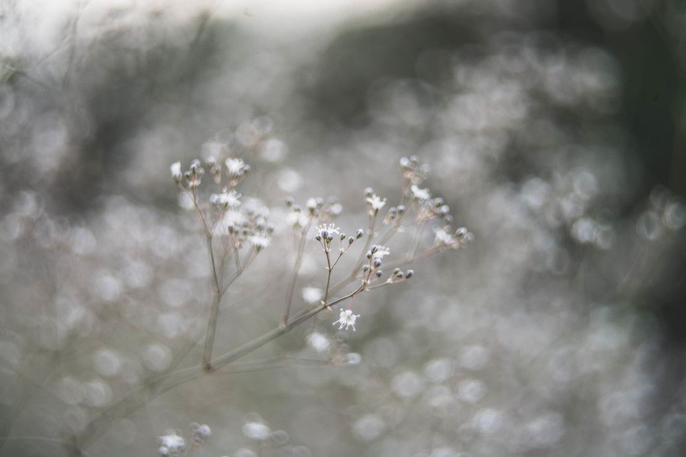 Photograph by Наталья Лещинская