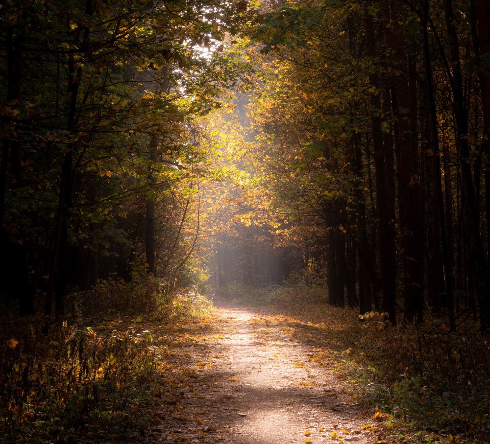 Photograph by Игорь Криулин