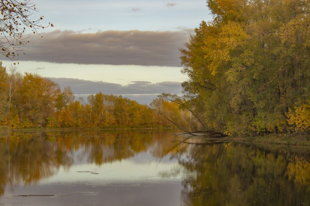 Фотография автора Потоцкий Вячеслав