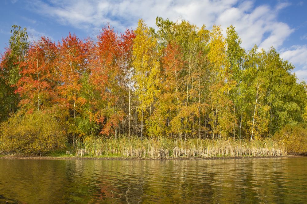 Фотография автора Потоцкий Вячеслав