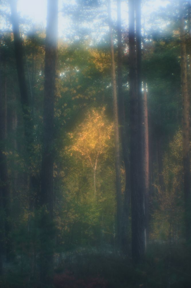 Photograph by Татьяна Блохина