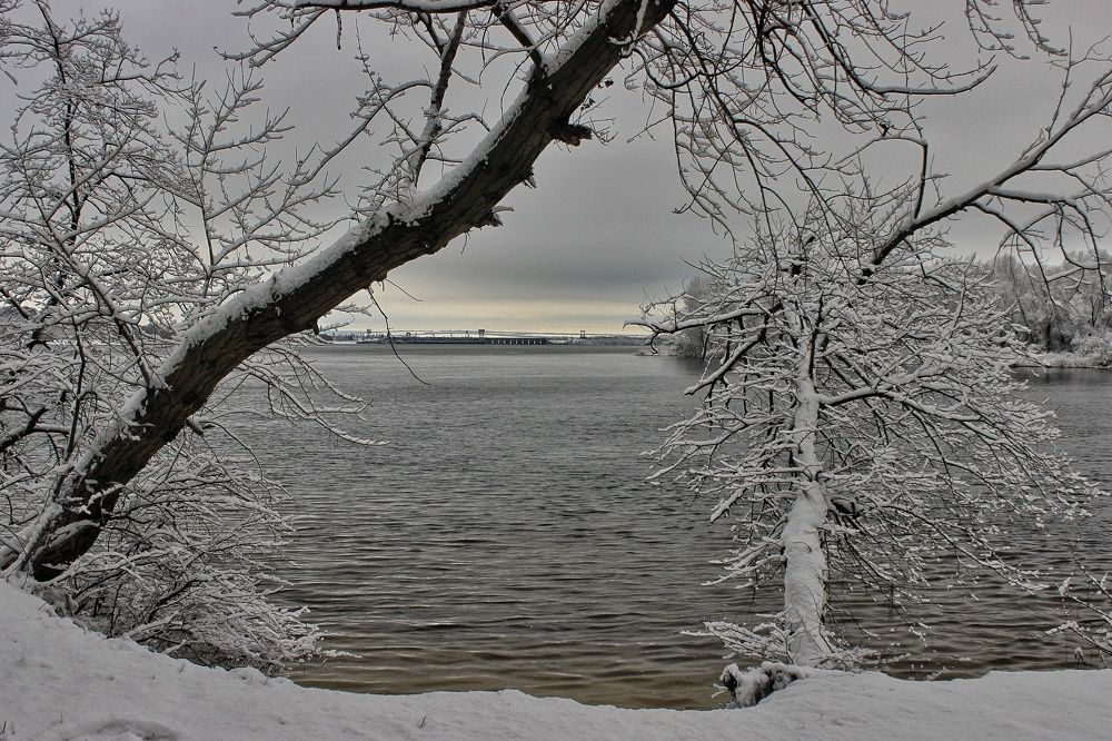 Photograph by Sergey Velichko