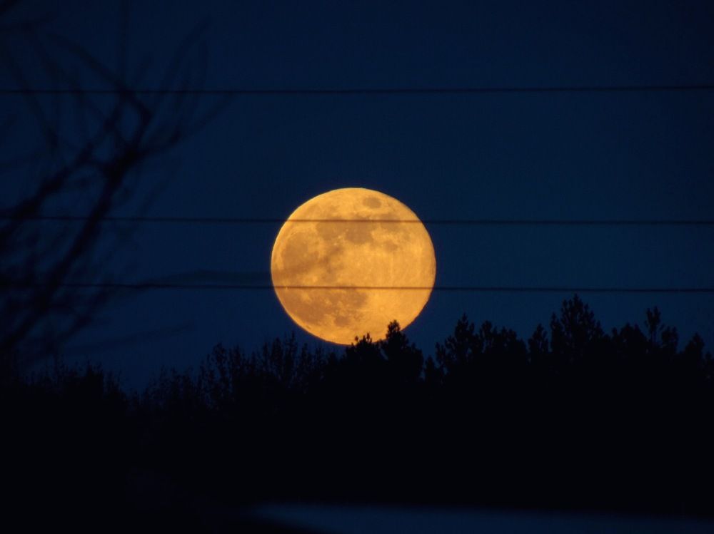 Photograph by Елизавета Большакова