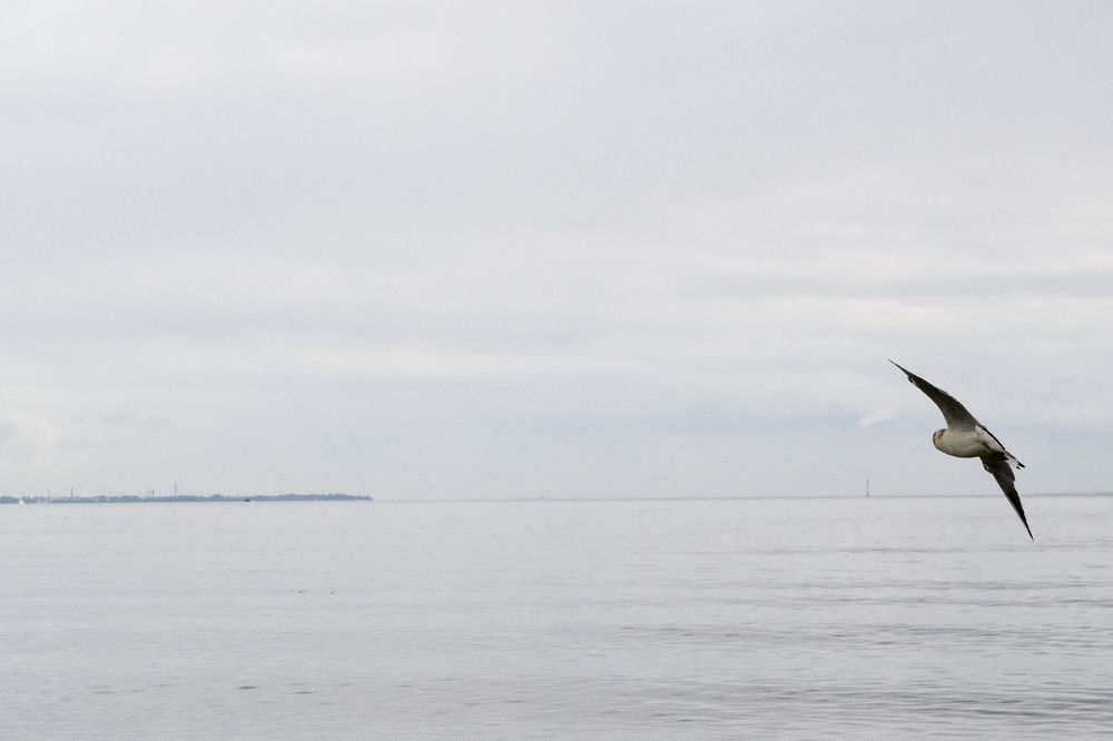 Photograph by Елизавета Большакова