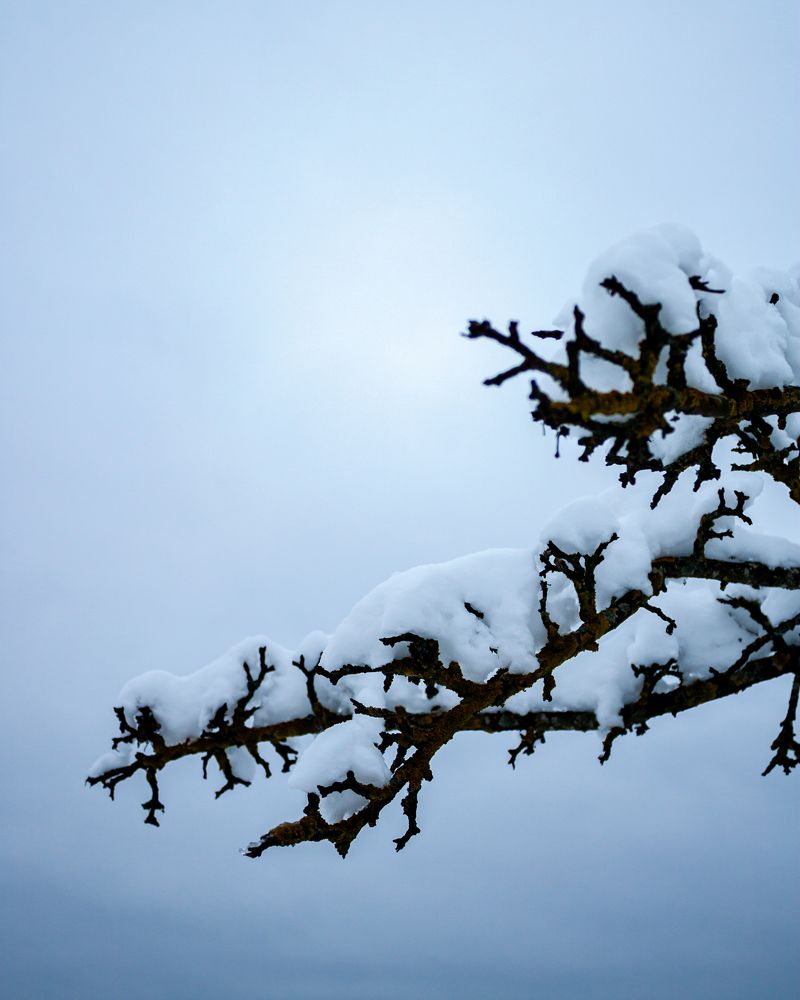 Photograph by Михаил Андронов