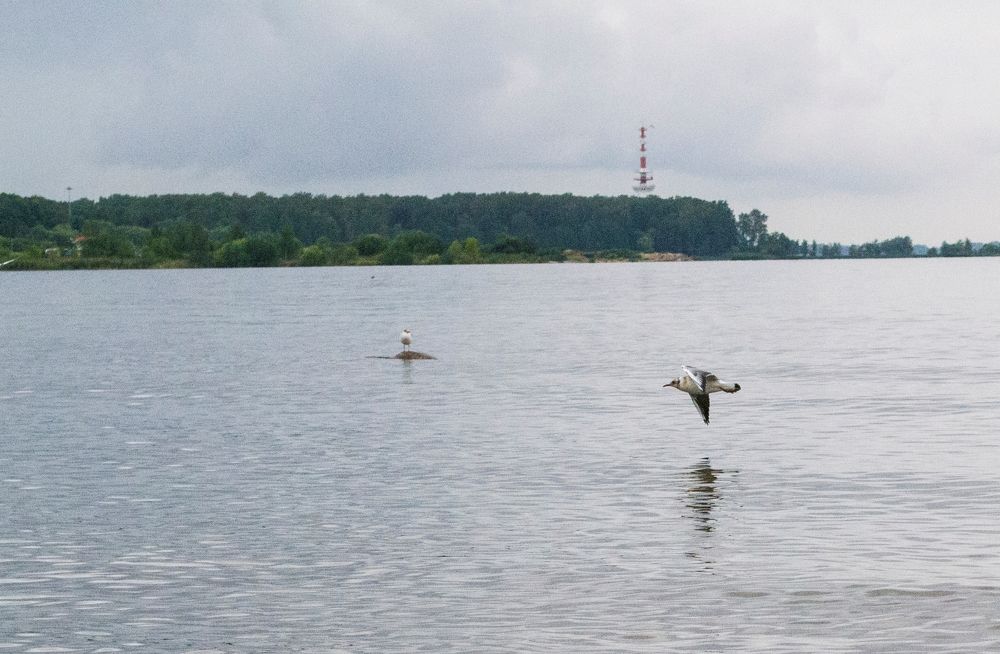 Photograph by Елизавета Большакова