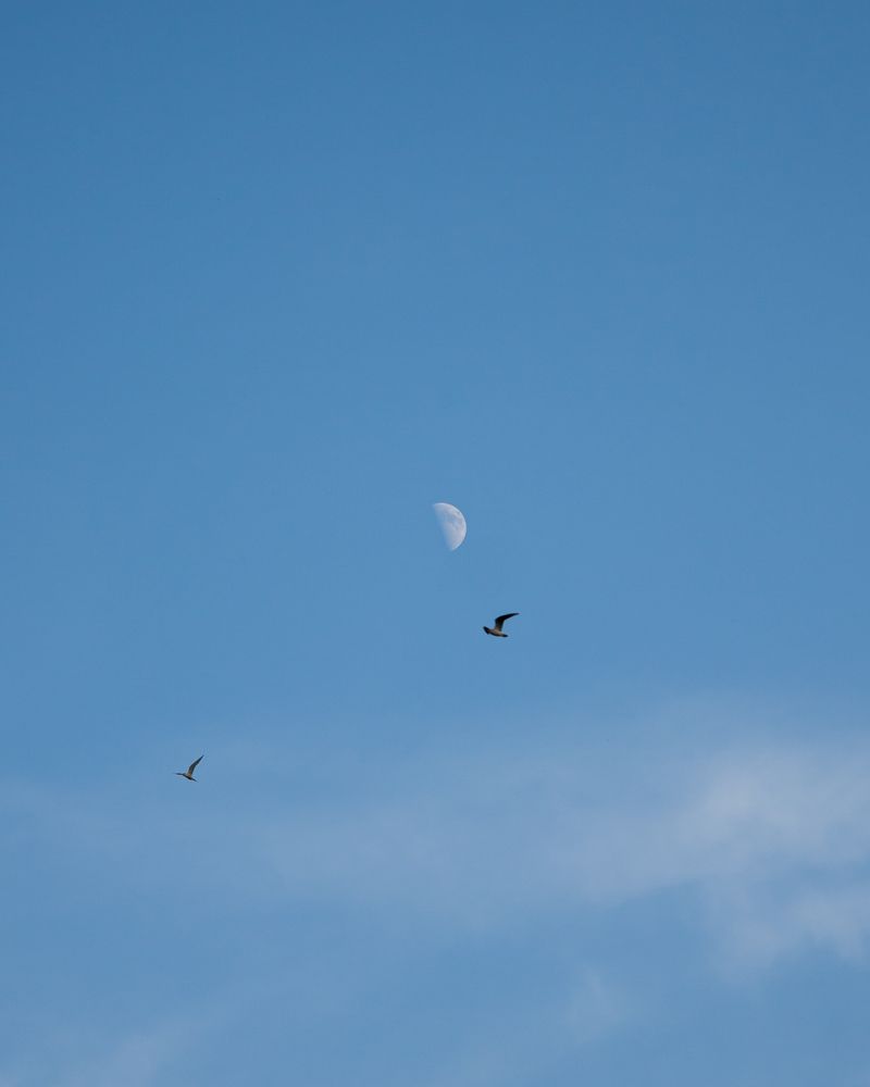 Photograph by Михаил Андронов